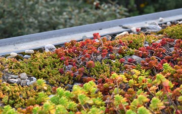 the cost of Bradney green roof installation