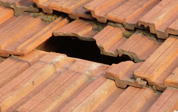 roof repair Bradney